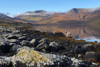 Glas Bheinn Cottage